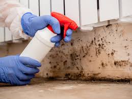 Mold Odor Removal Services in Glen Carbon, IL